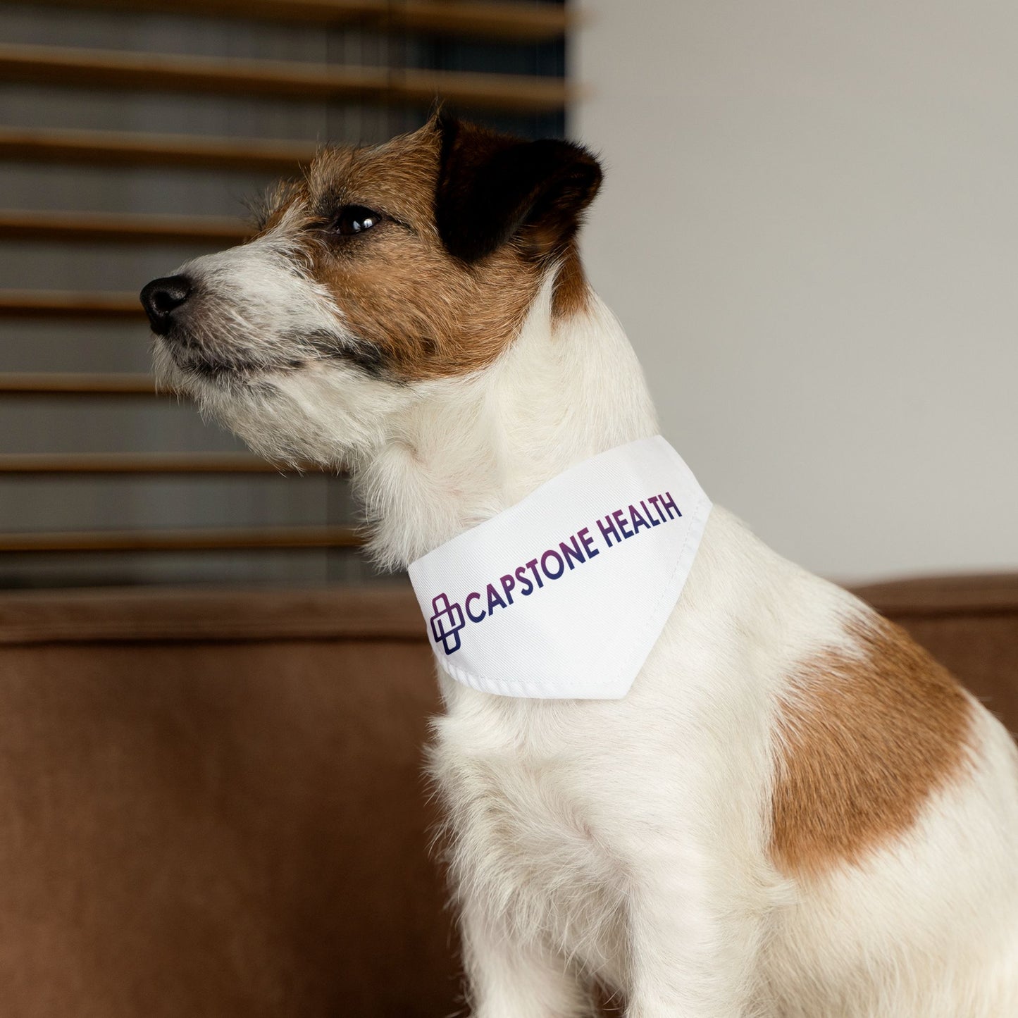 Pet Bandana Collar